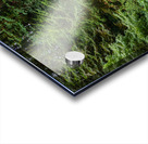 Japanese Garden Portland 13 Acrylic print