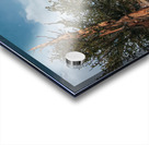 To The Top Acrylic print