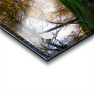 Up the Trail Acrylic print