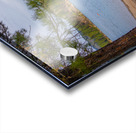 Lake Britton Swimming Area Acrylic print