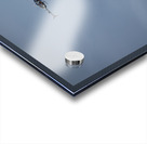 Liberty Fly By Acrylic print