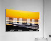 Seagull Sunrise Acrylic Print