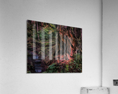 Is there anybody in there Acrylic Print