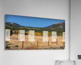 Hope Valley Fence Line Acrylic Print