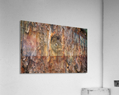 Chipmonk Home Acrylic Print