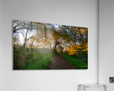 Up the Trail Acrylic Print