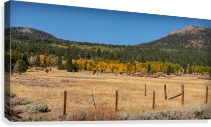 Hope Valley Fence Line Canvas Print