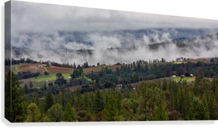 Foggy Vineyards Canvas Print