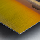 Seagull Sunrise Metal print