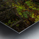 A Bigger Fall Strem Metal print