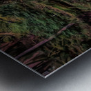 Is there anybody in there Metal print