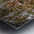 Twigs and Branches Metal print