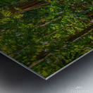 Lost in The Jungle Metal print