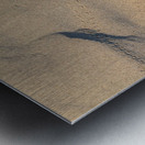 Out for a strole Metal print