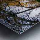 Up the Trail Metal print