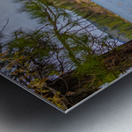 Lake Britton Swimming Area Metal print