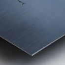 Liberty Fly By Metal print