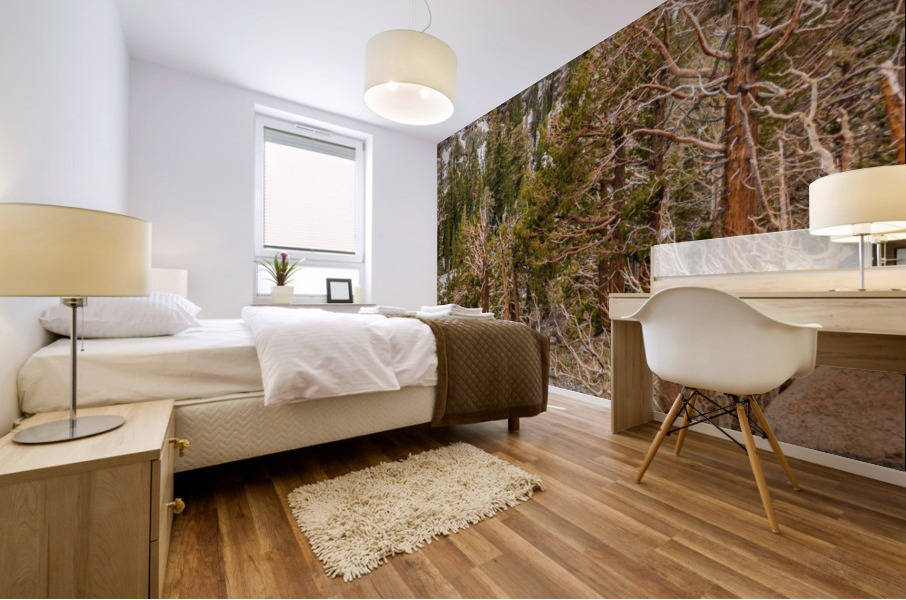 Twigs and Branches Mural print