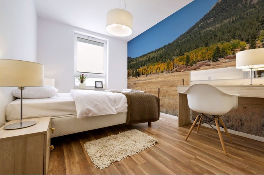 Hope Valley Fence Line Mural print