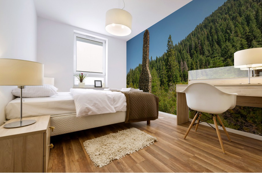Cabin Gone Missing Mural print
