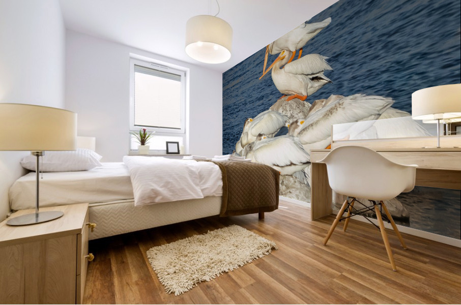 Dominant Pelican Mural print