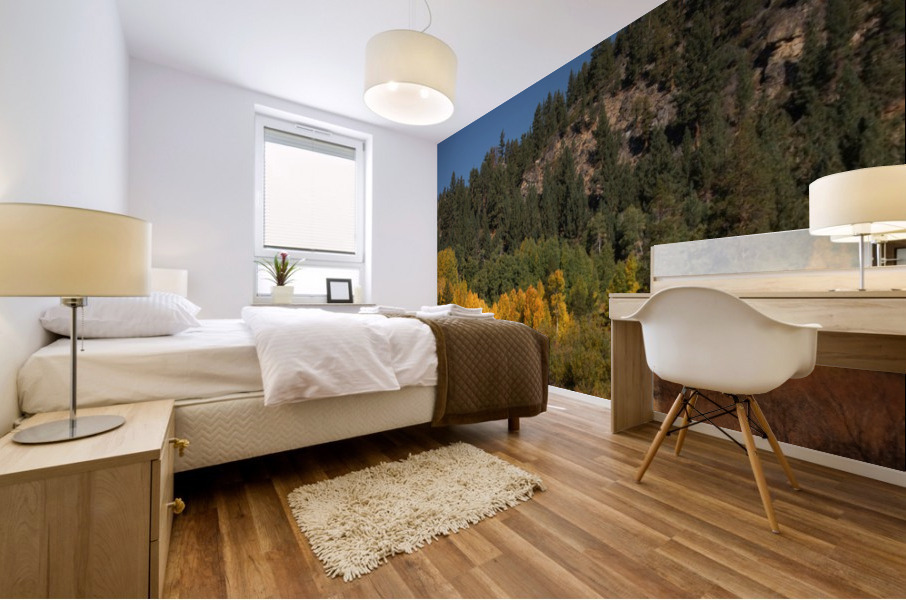 Hope Valley Aspens Mural print
