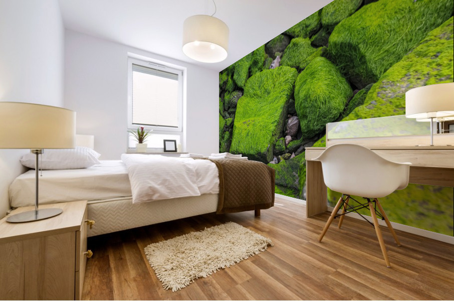 Slimey Rocks Mural print