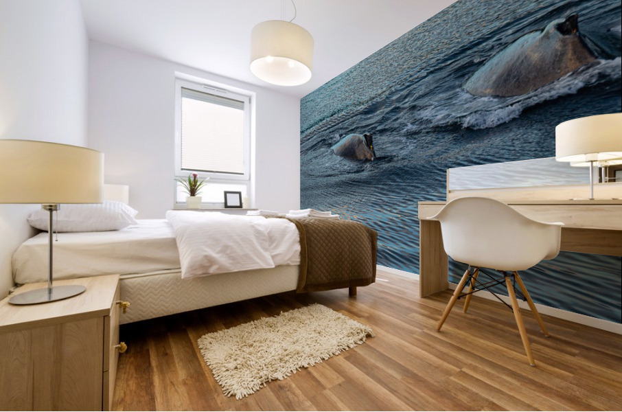 Double Hump Alaska Mural print