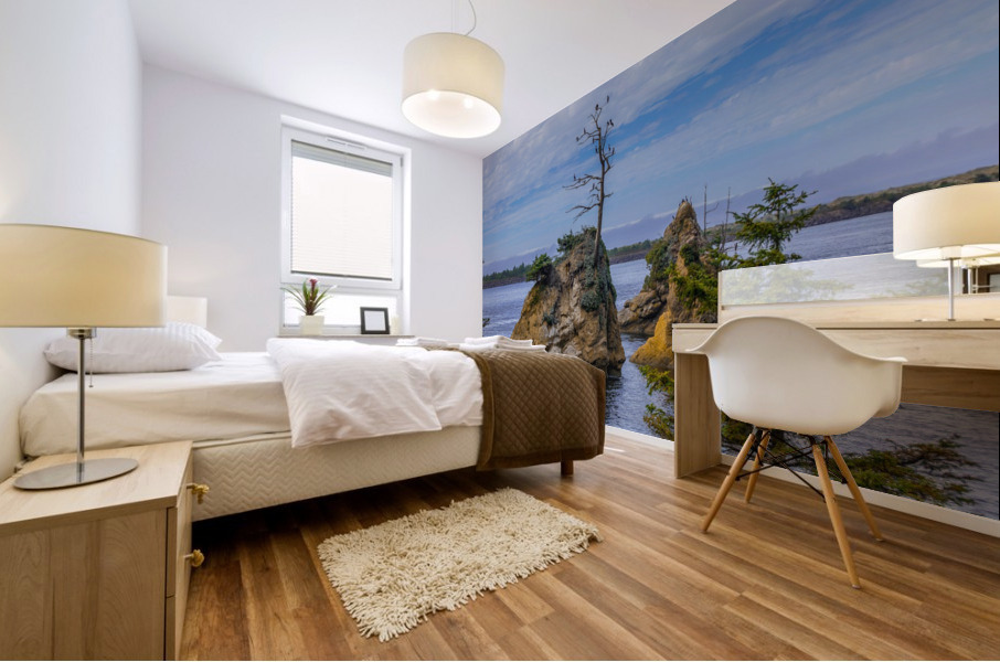 Oregon Coast 1 Mural print