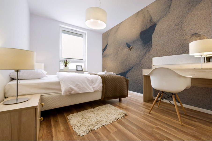 Out for a strole Mural print