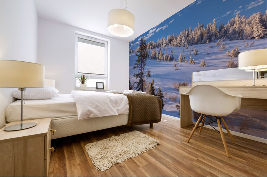 Blue Snow Mural print
