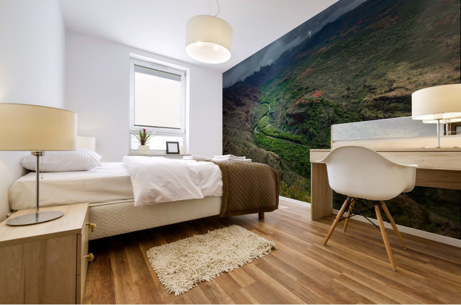 WAIMEA CANYON  Mural print