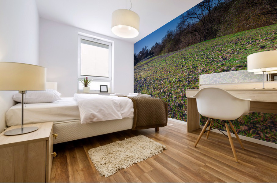 Dreggings 2 Mural print