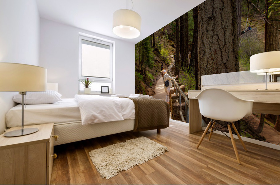 Burney Falls Walk Mural print