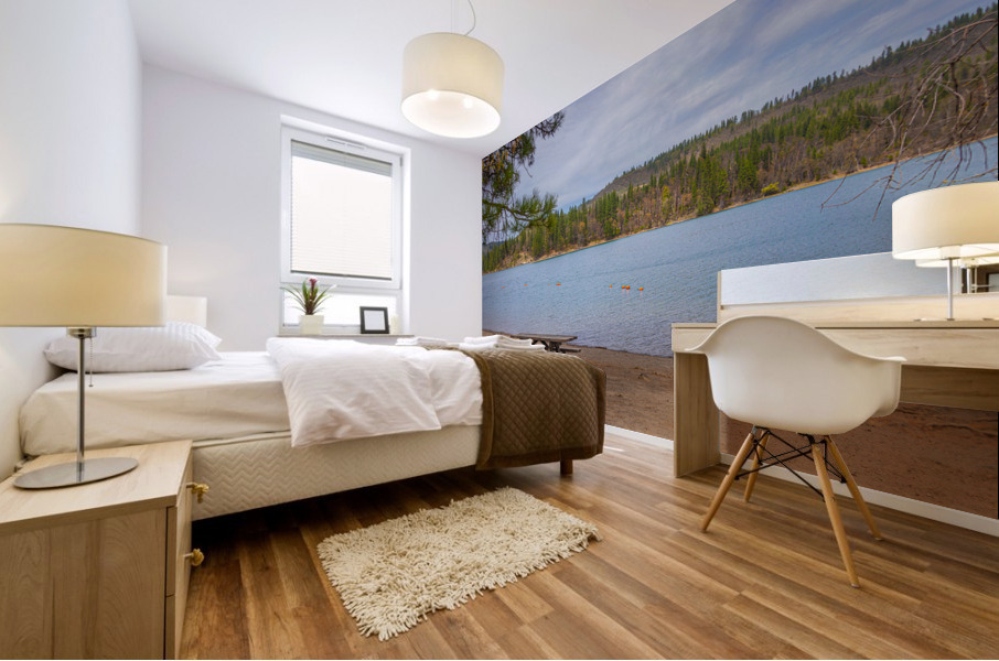 Lake Britton Swimming Area Mural print