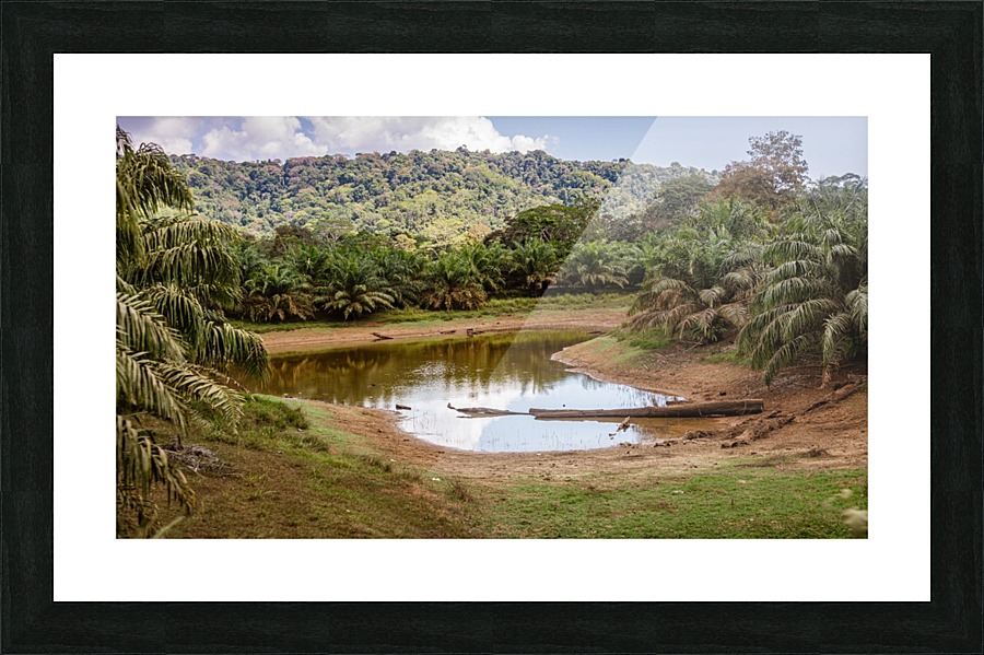 Oasis Picture Frame print
