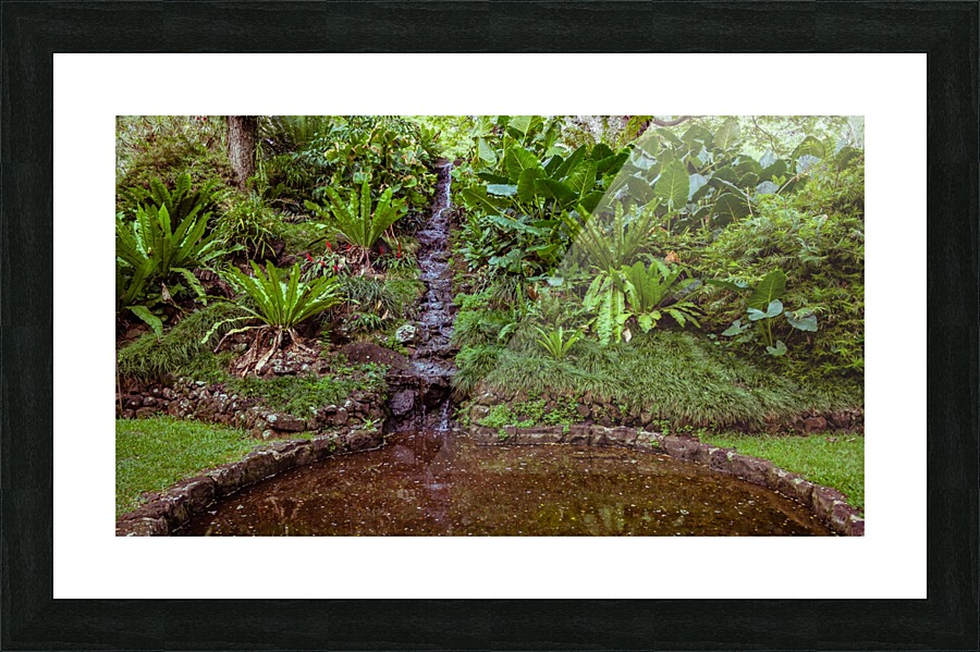 Soothing Pond Picture Frame print