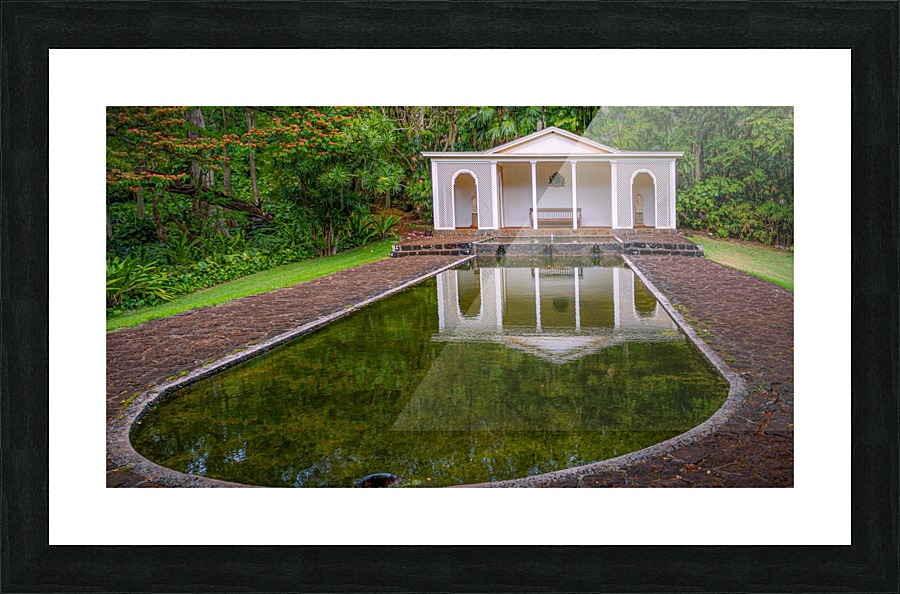 Reflections Picture Frame print