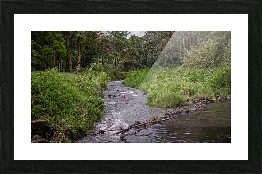 Hawaiian Stream Picture Frame print