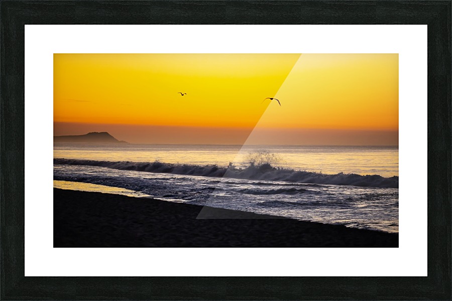Seagull Sunrise Picture Frame print