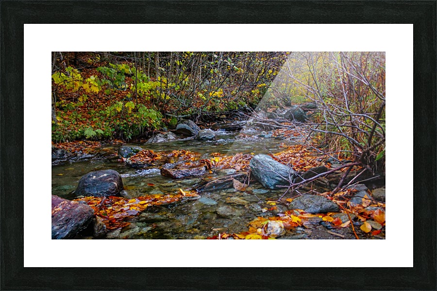 Fall Stream  Impression et Cadre photo