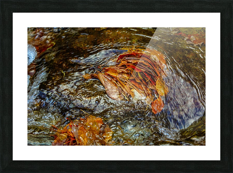 Leaf Blockade Picture Frame print