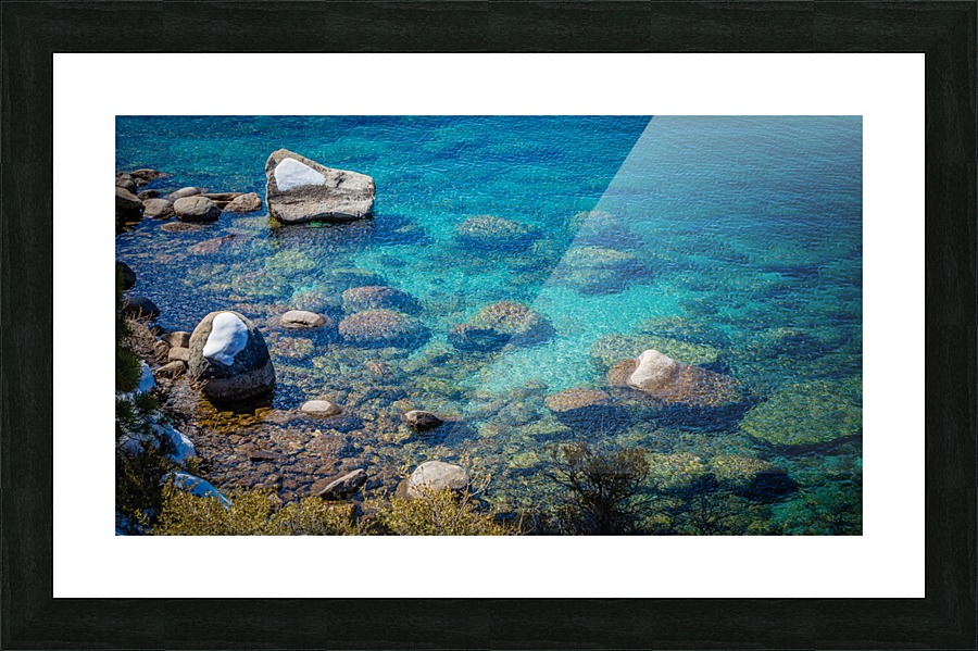 No Diving Alowed Picture Frame print