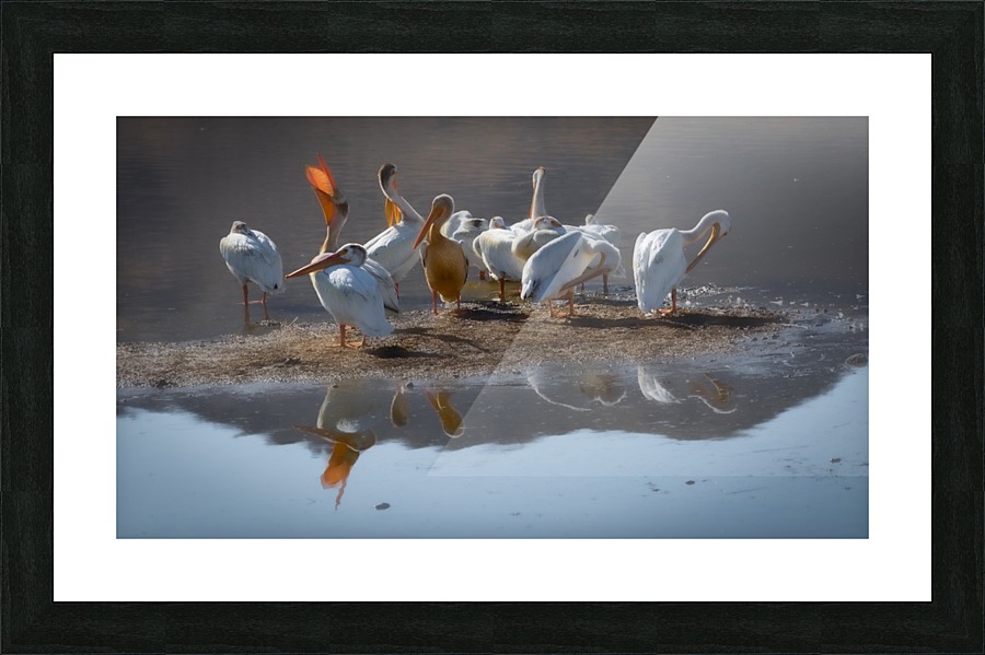 Morning Stretch Picture Frame print