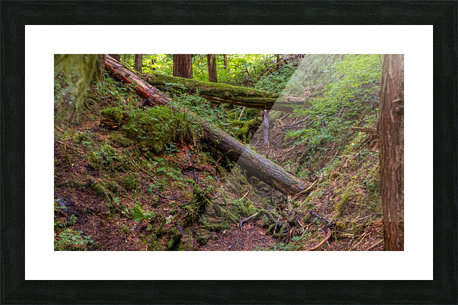Slippery Bridge Picture Frame print