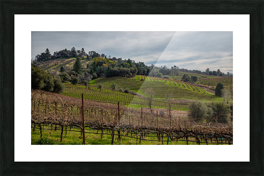Iron Hub Vineyard Picture Frame print