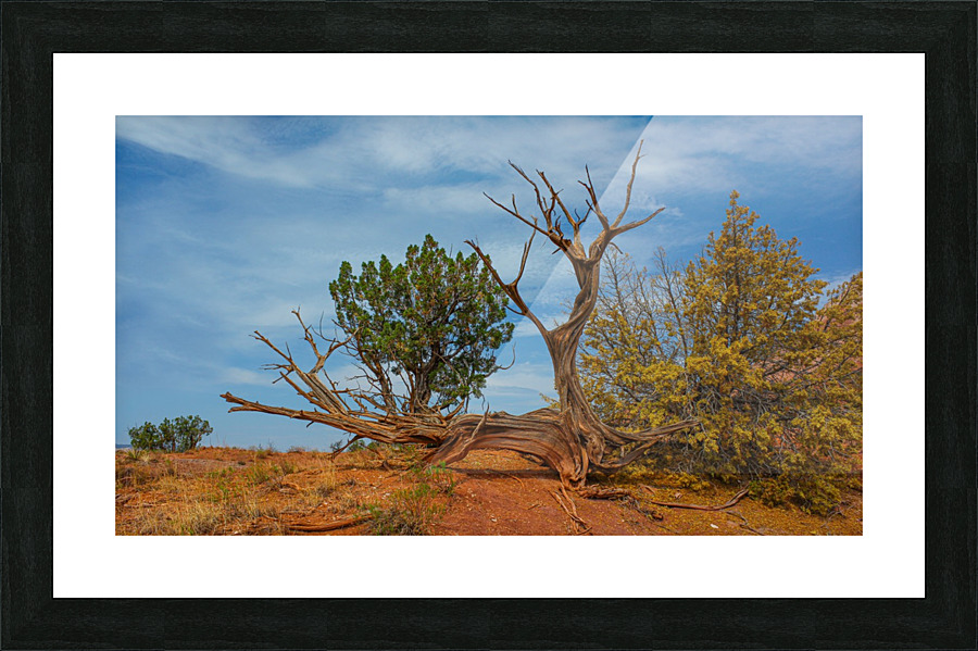 A Twist - Ghost Ranch Picture Frame print