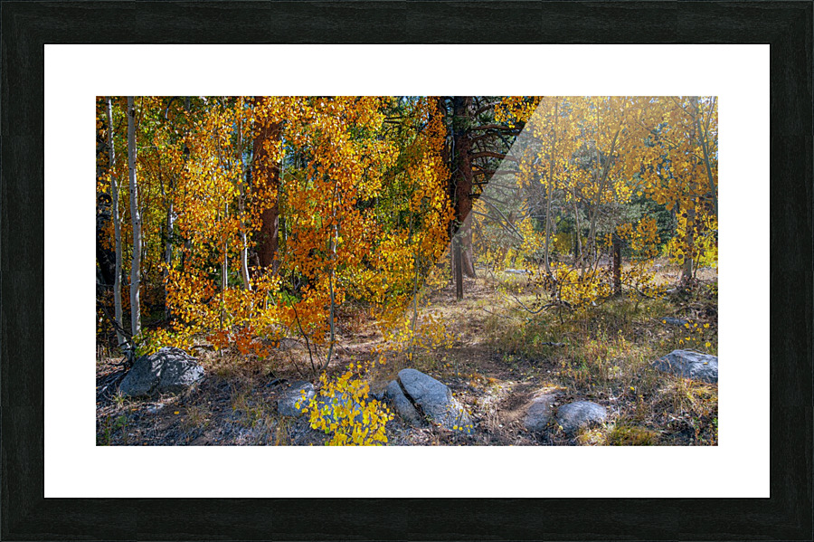 Hidden Hope Picture Frame print