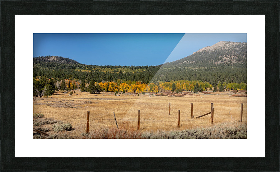 Hope Valley Fence Line Picture Frame print