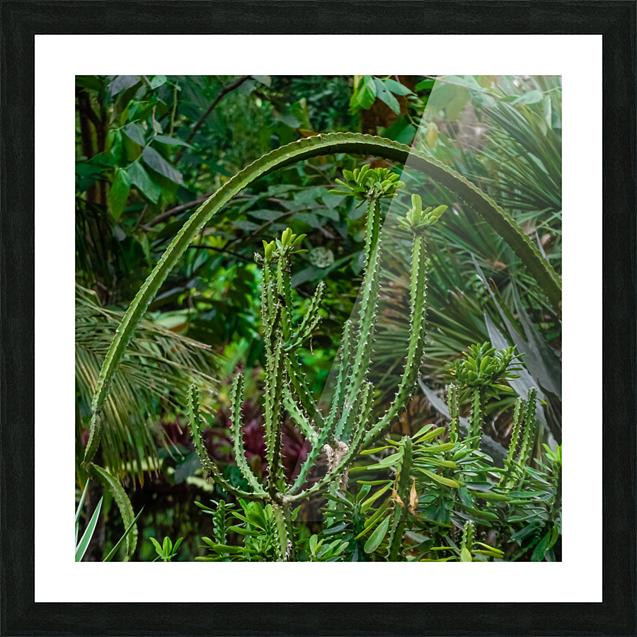 Green Arch Picture Frame print